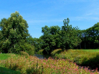 Baum, Fluss, Wiese