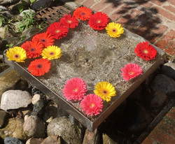 Brunnen im Innenhof der Rogatekirche