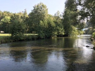 Der Fluss Wiesent