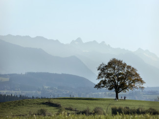 Blick vom Kornhofer Bänkle im Allgäu