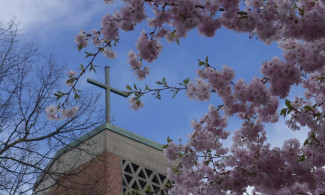 Rogatekirche im Frühling