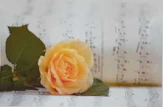 Rose und Noten